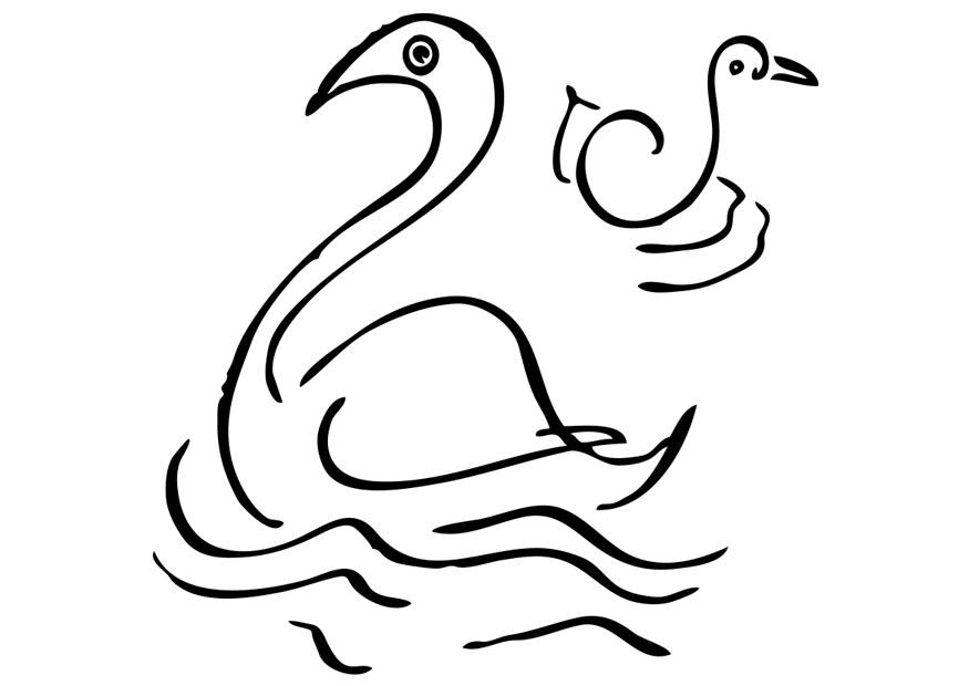 cigni Disegno da colorare cigni