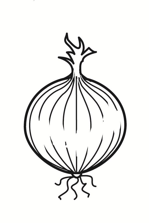 cipolla Disegno da colorare cipolla