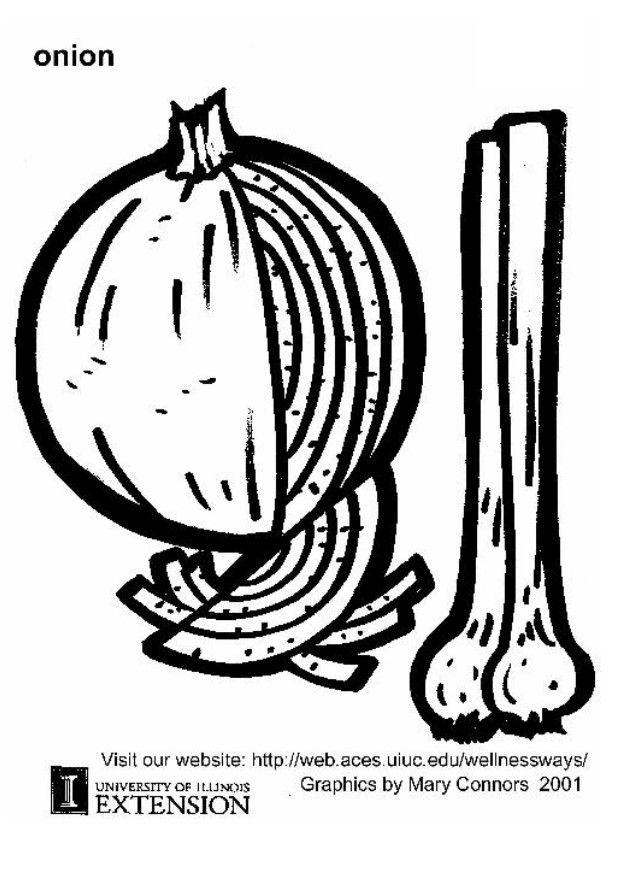 cipolla Disegno da colorare cipolla