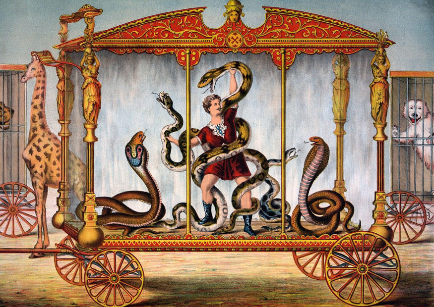 circo immagine circo
