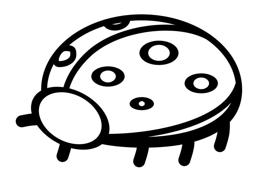 coccinella Disegno da colorare coccinella