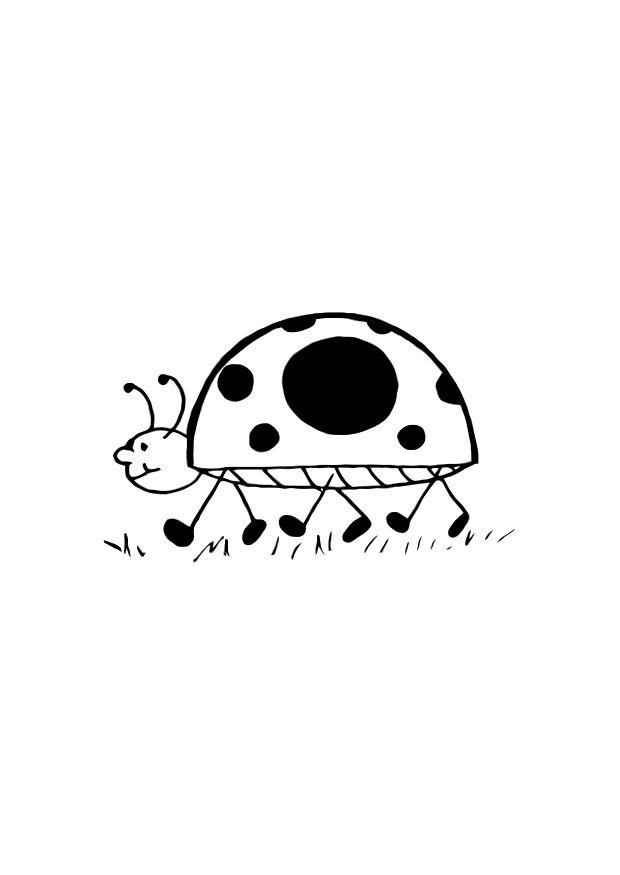 coccinella Disegno da colorare coccinella