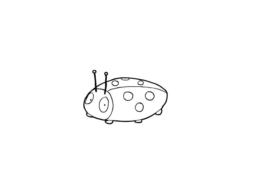 coccinella Disegno da colorare coccinella