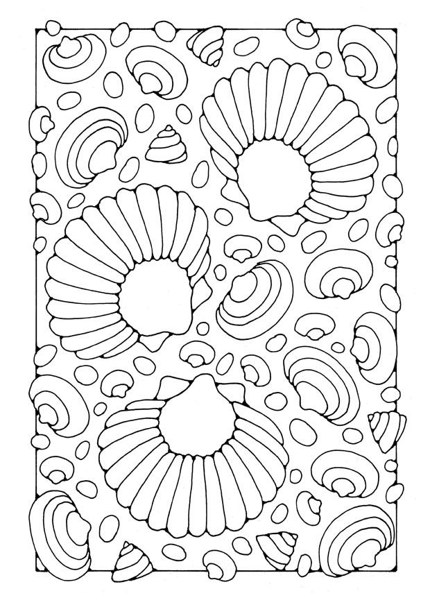conchiglie Disegno da colorare conchiglie