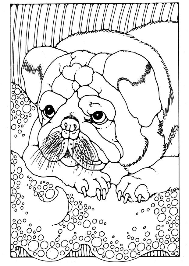cucciolo Disegno da colorare cucciolo