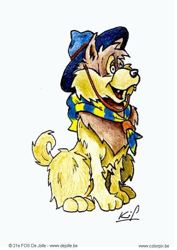 cucciolo scout immagine cucciolo scout