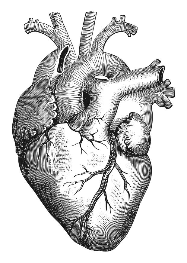 cuore Disegno da colorare cuore