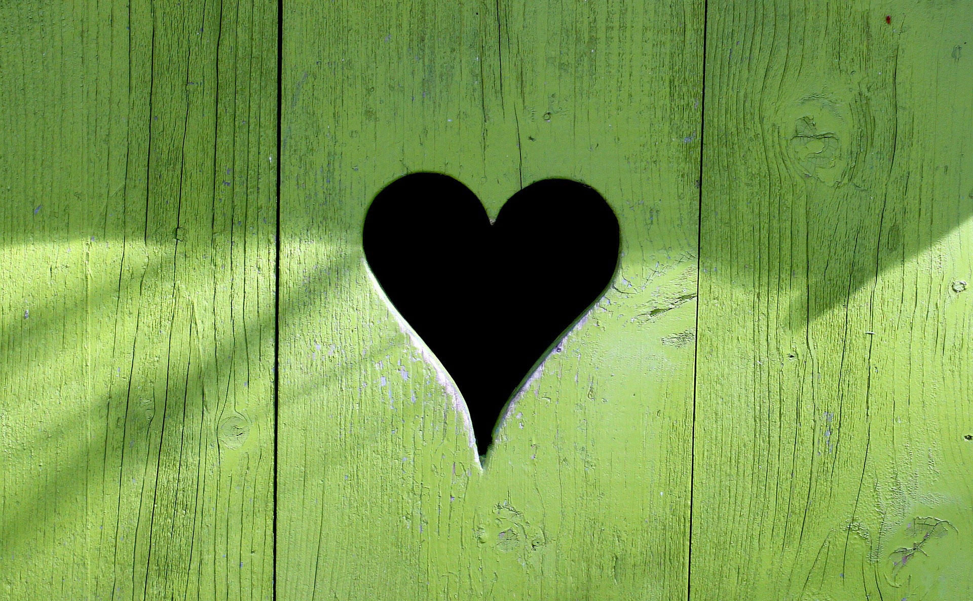 cuore Foto cuore