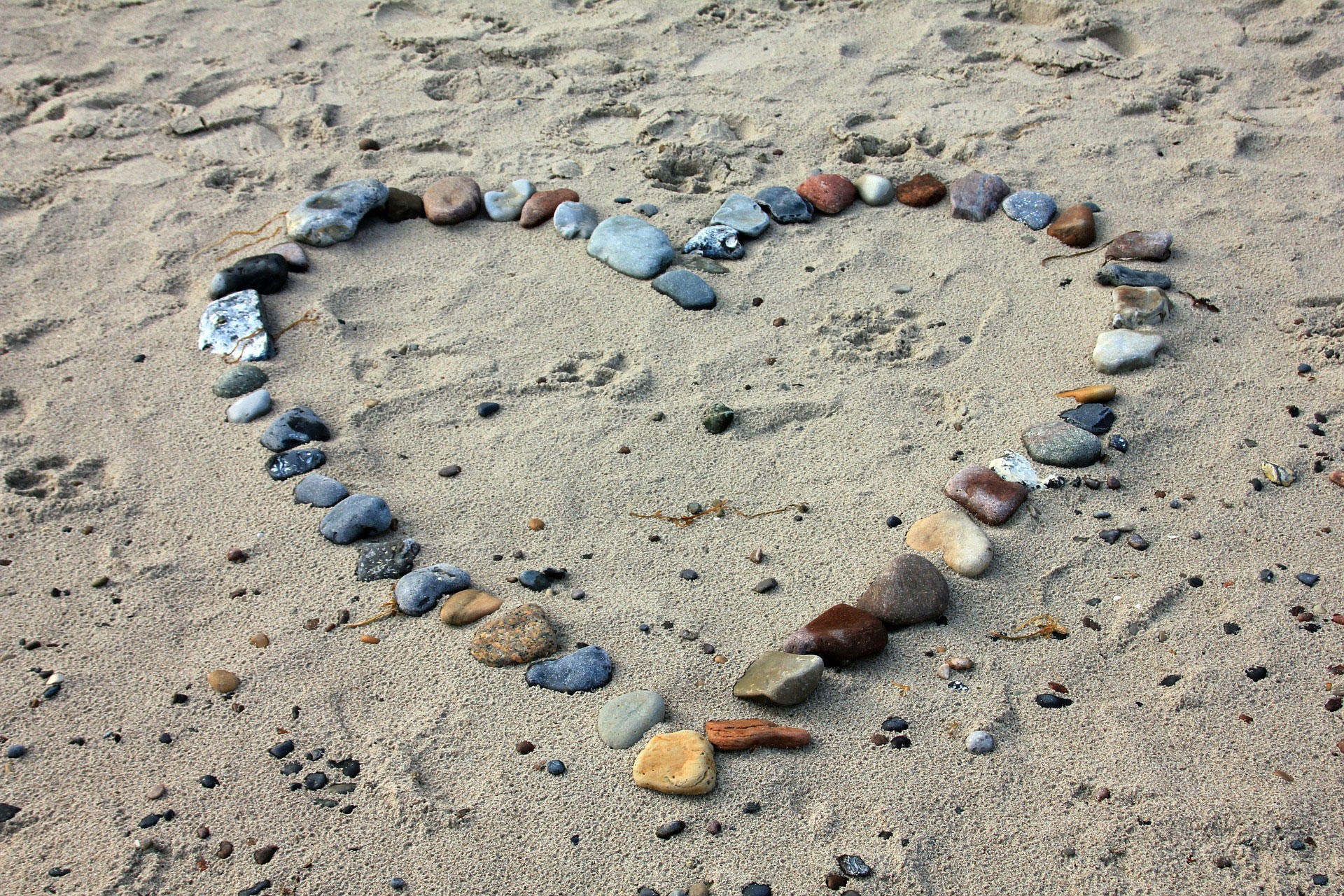 cuore Foto cuore