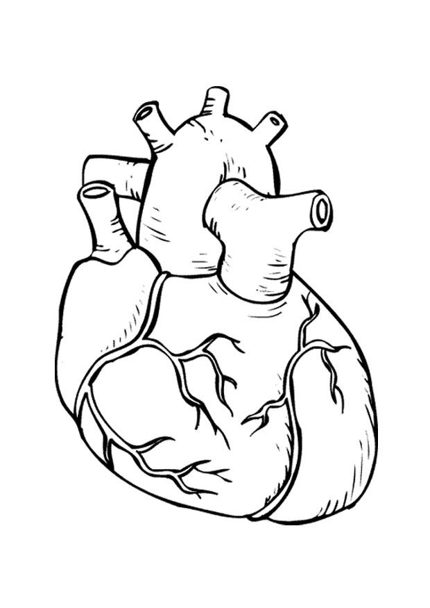 cuore Disegno da colorare cuore