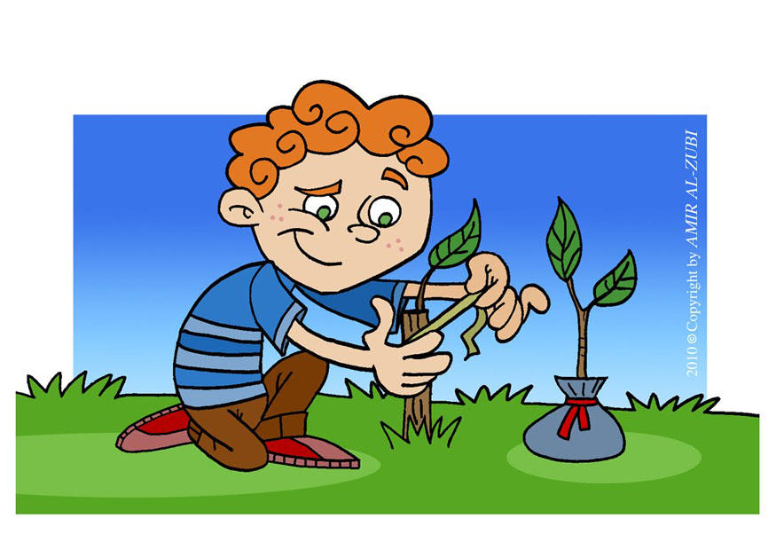 curare unalbero immagine curare unalbero