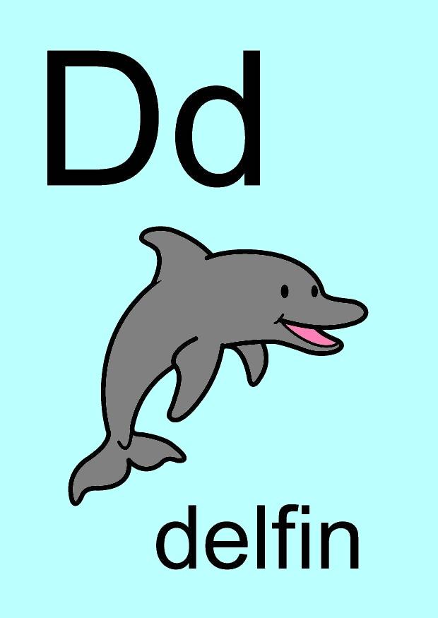 d immagine d