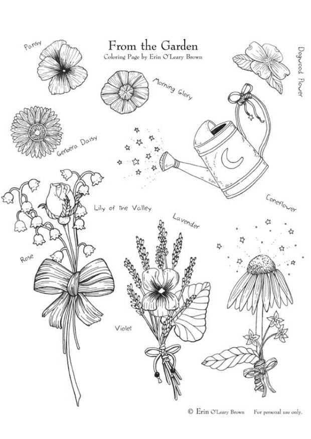 dal giardino Disegno da colorare dal giardino