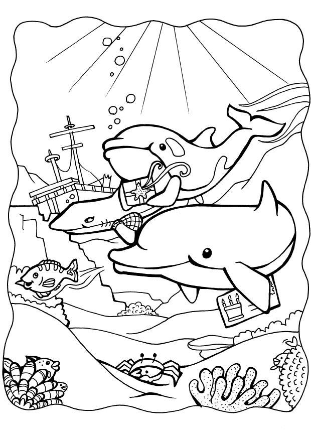 delfini Disegno da colorare delfini