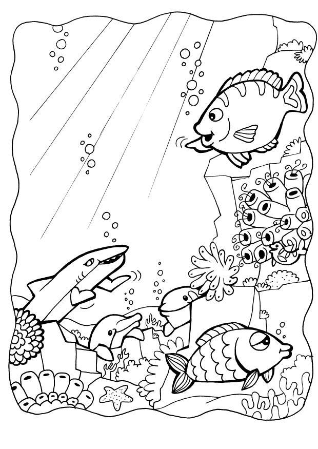 delfini con pesci Disegno da colorare delfini con pesci