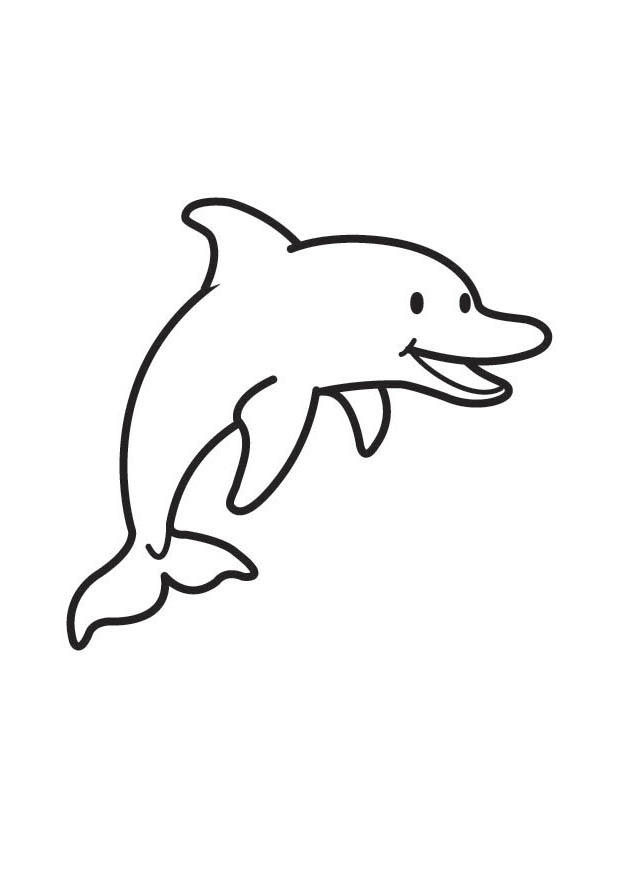 delfino Disegno da colorare delfino