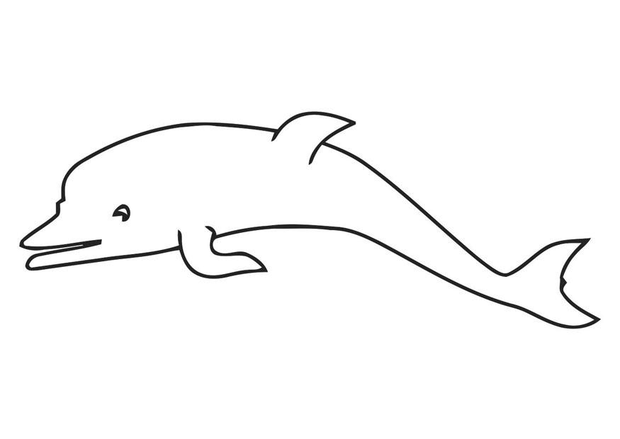 delfino Disegno da colorare delfino