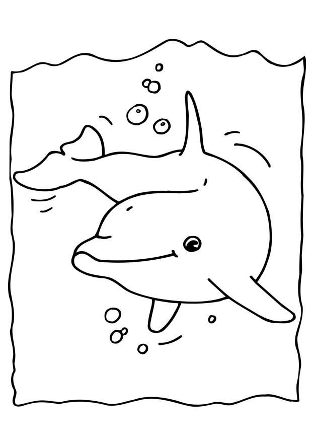 delfino Disegno da colorare delfino