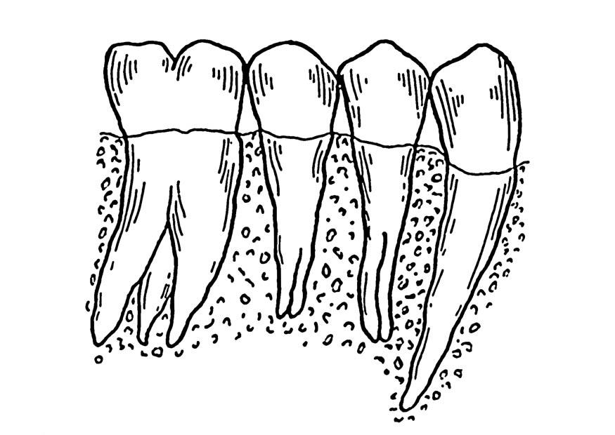 denti Disegno da colorare denti