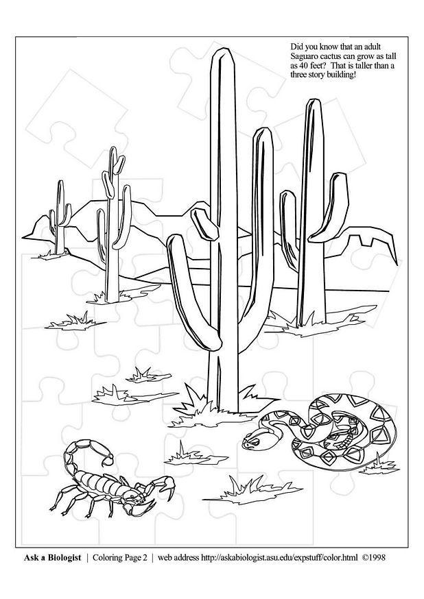 deserto Disegno da colorare deserto