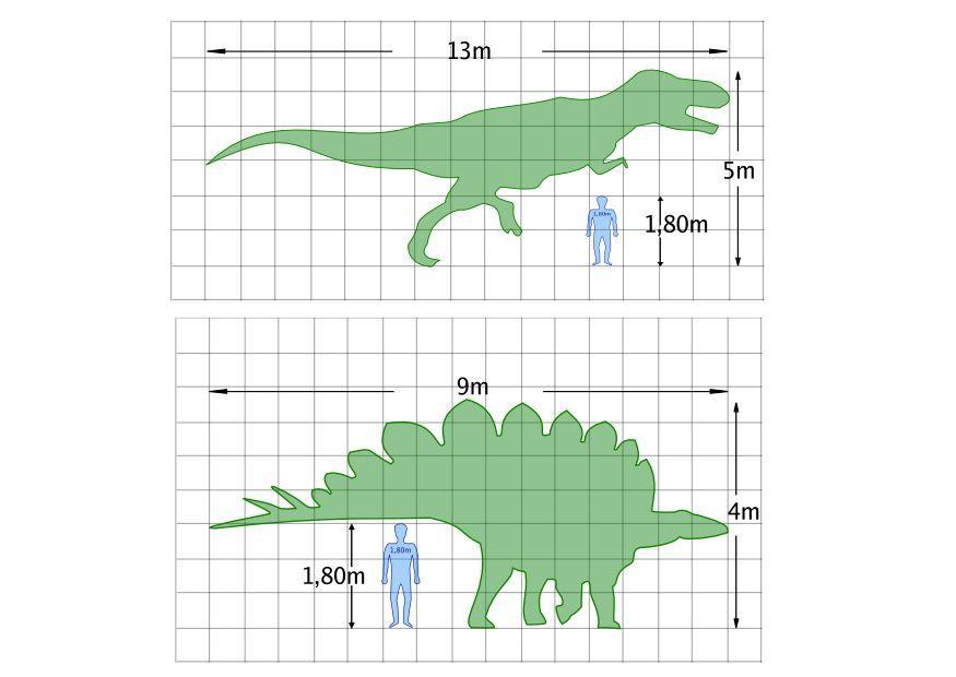 dimensioni dei dinosauri Disegno da colorare dimensioni dei dinosauri