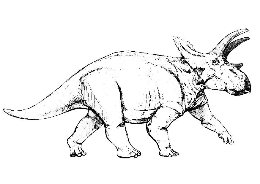 dino anchiceratops Disegno da colorare dino anchiceratops