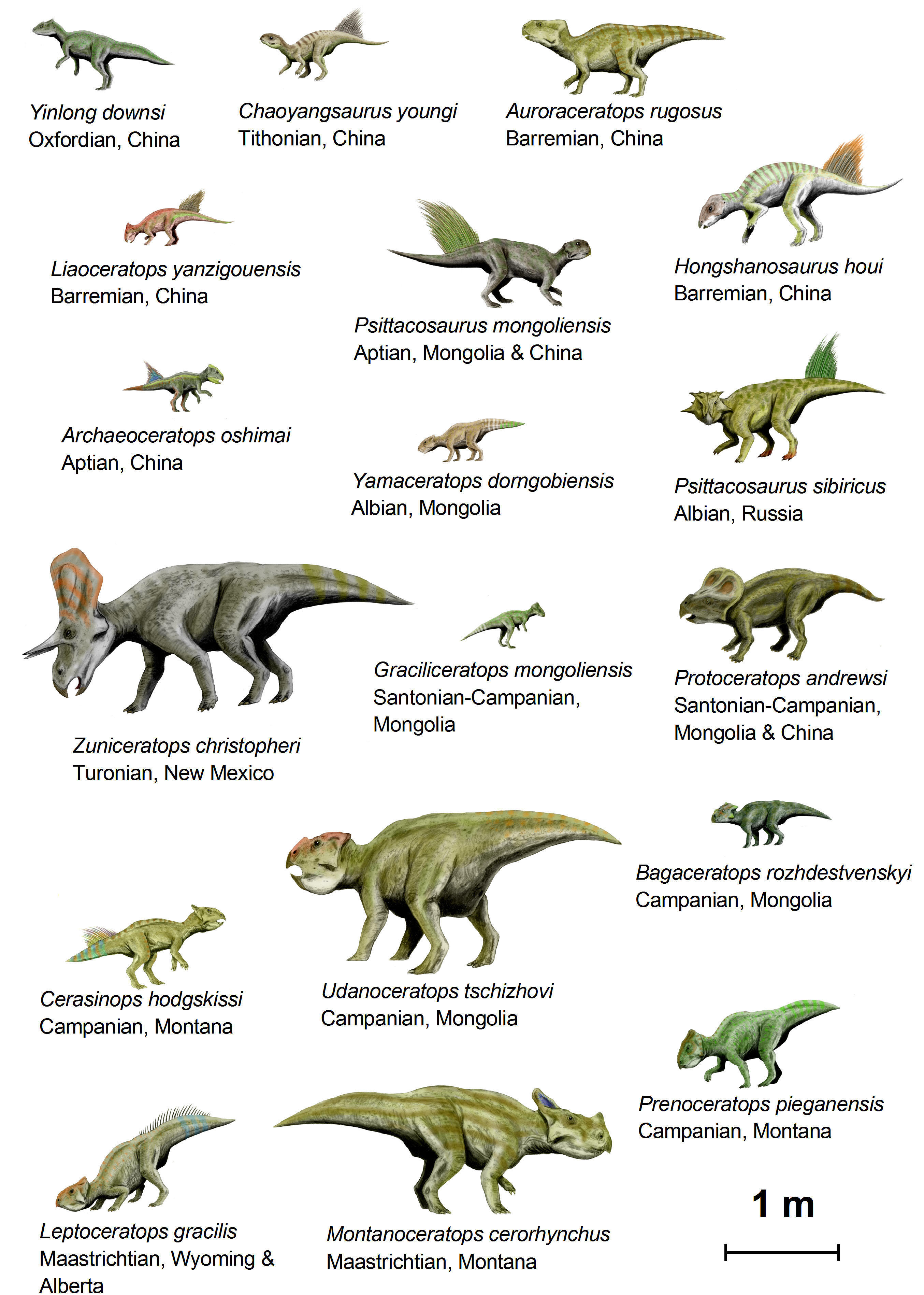 dinosauri (basal ceratopsia) immagine dinosauri (basal ceratopsia)