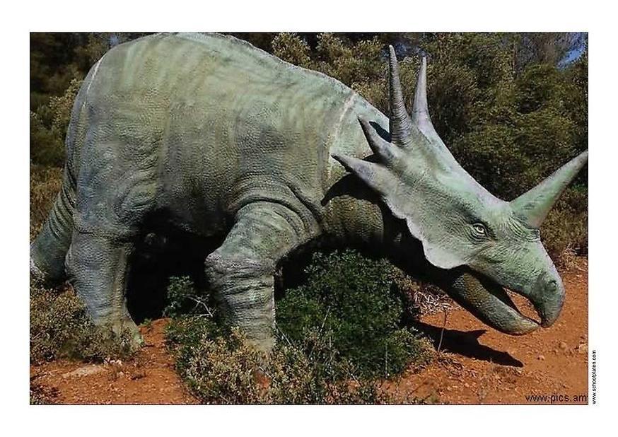 dinosauro Foto dinosauro