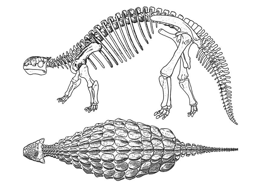 dinosauro - ankylosaurus Disegno da colorare dinosauro - ankylosaurus