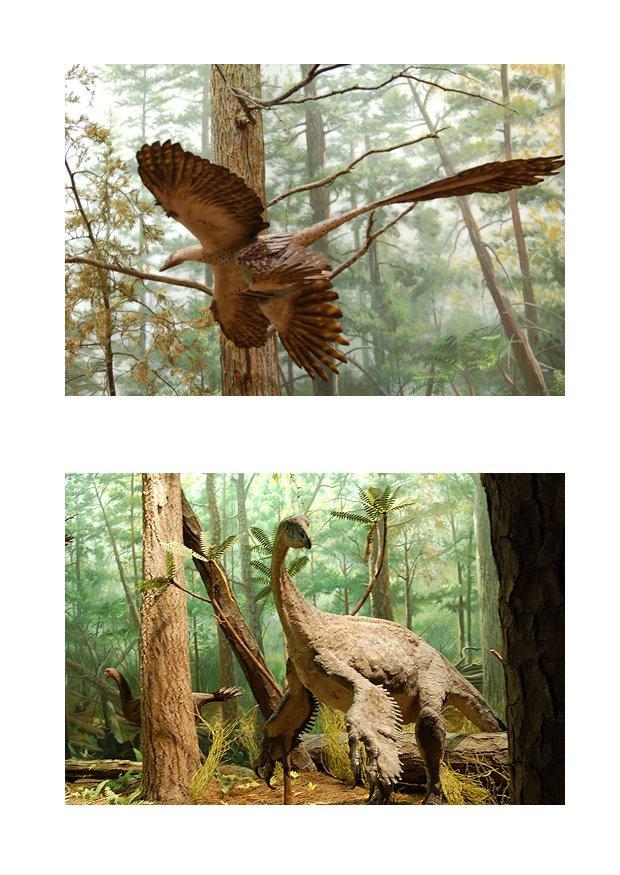 dinosauro con piume immagine dinosauro con piume