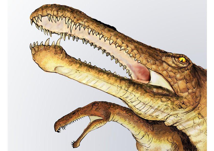 dinosauro irritator immagine dinosauro irritator