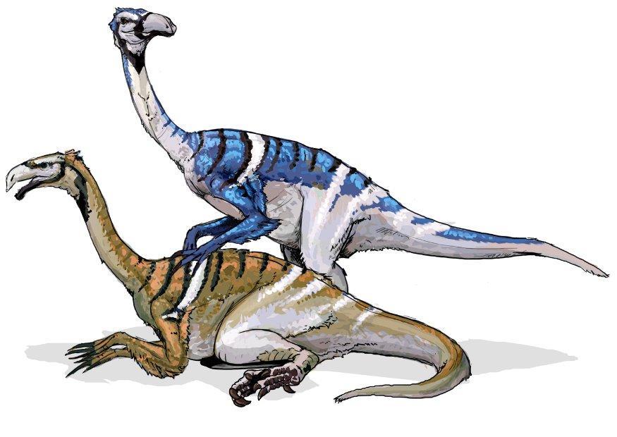 dinosauro nanshiungosauro immagine dinosauro nanshiungosauro
