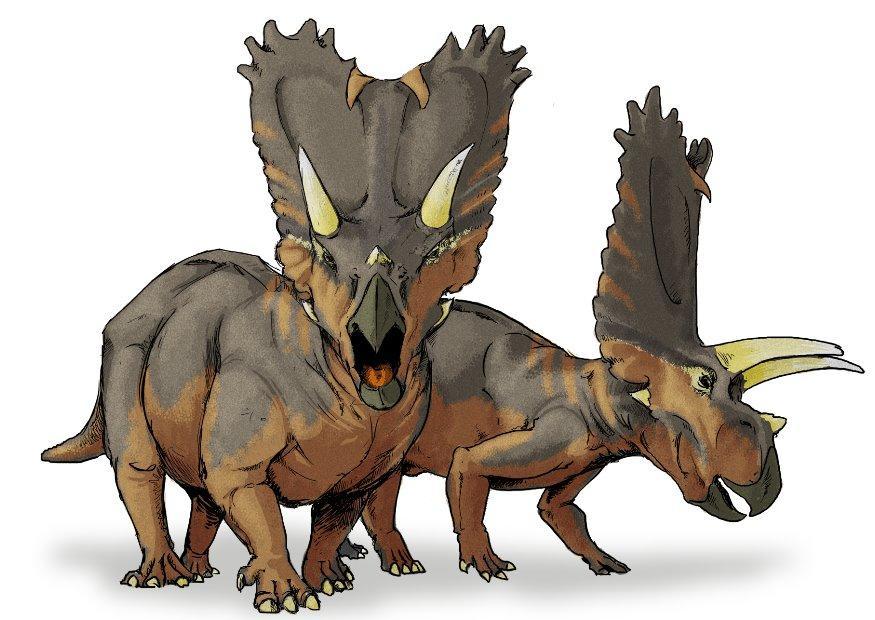 dinosauro pentaceratops immagine dinosauro pentaceratops