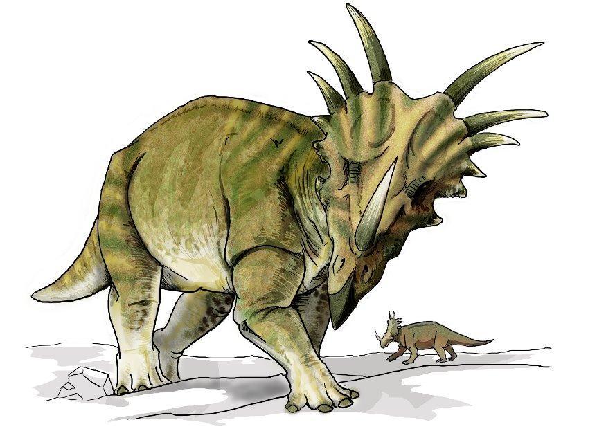dinosauro styracosauro immagine dinosauro styracosauro
