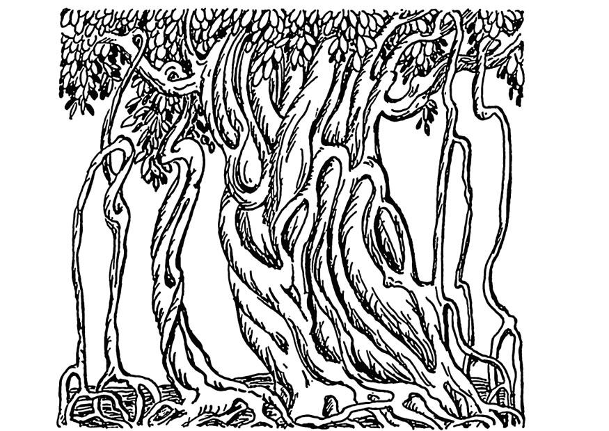 Disegno da colorare albero del banyan