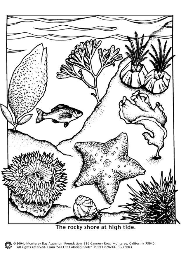 Disegno da colorare alta marea - sulla costa