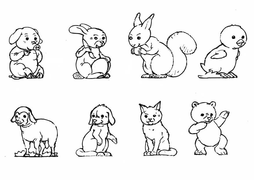 Disegno da colorare animali - collezione