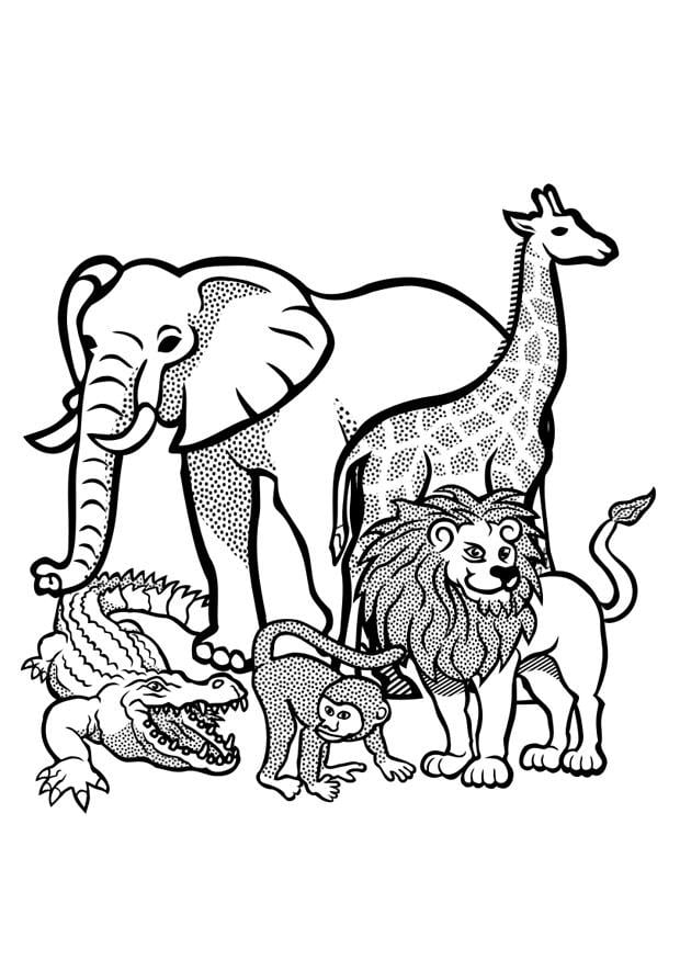 Disegno da colorare animali selvatici