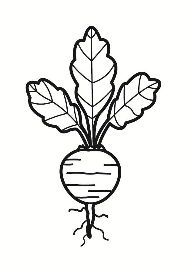 Disegno da colorare bietola
