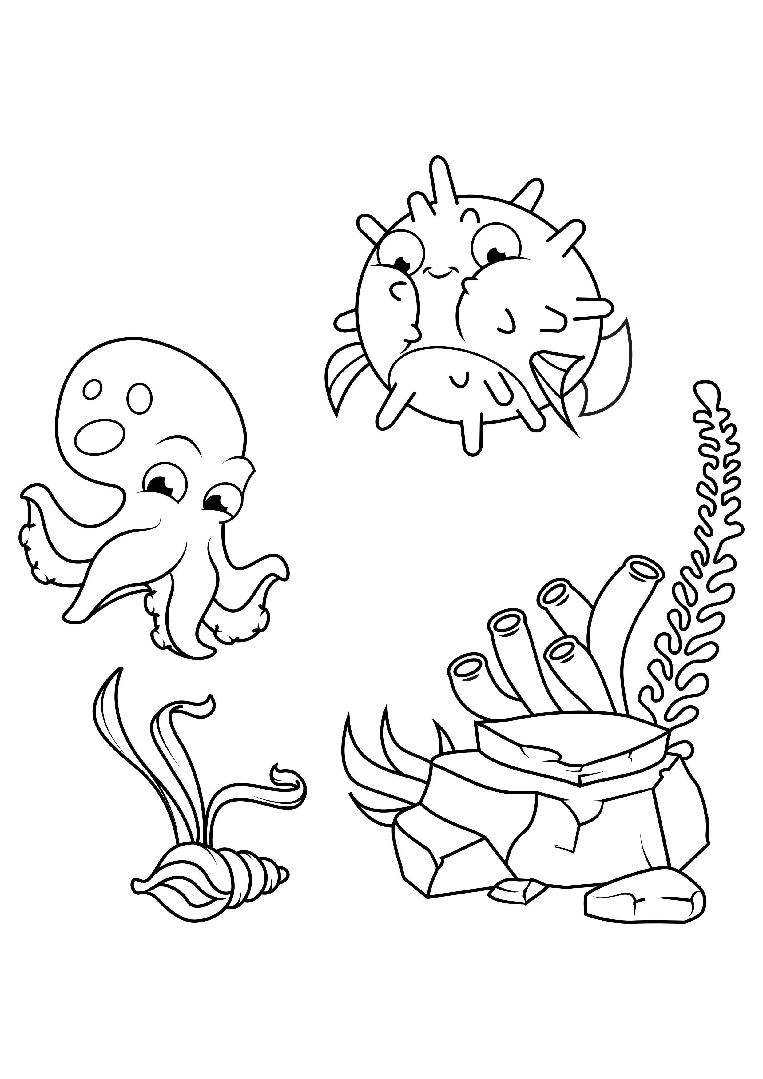 Disegno da colorare calamari e pesci palla nuotano
