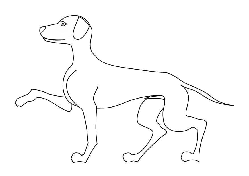 Disegno da colorare cane