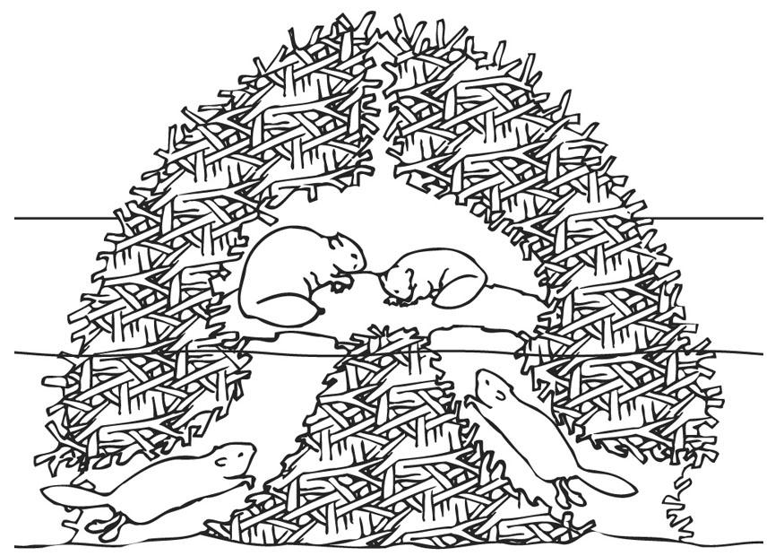 Disegno da colorare casa dei castori