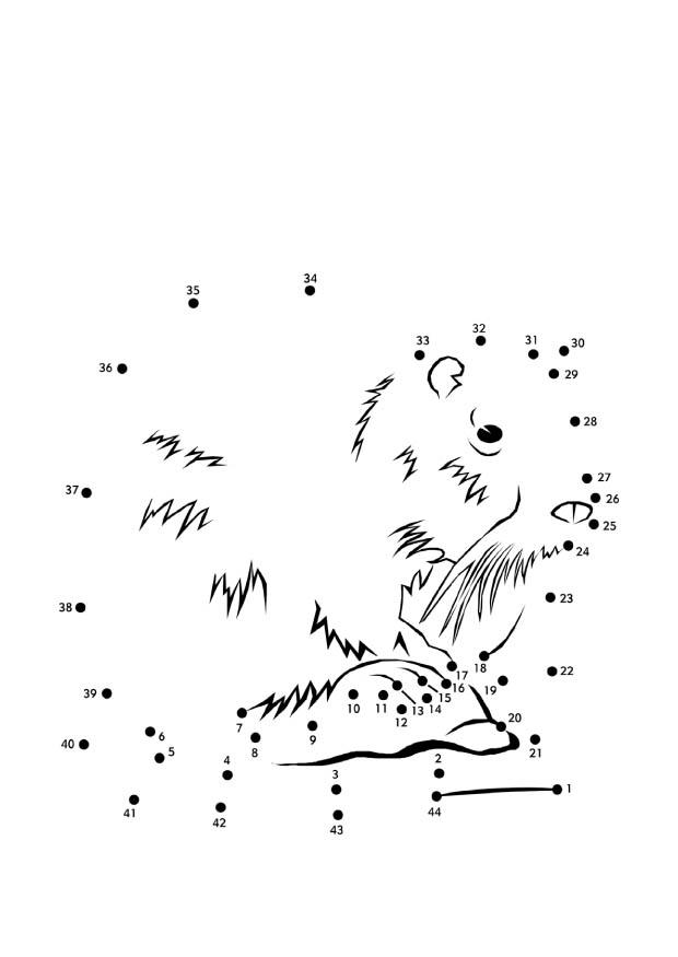 Disegno da colorare castore ratto
