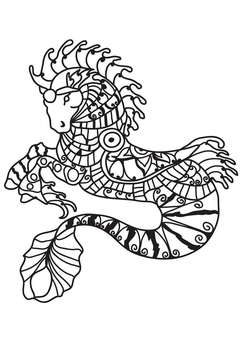 Disegno da colorare cavalluccio marino