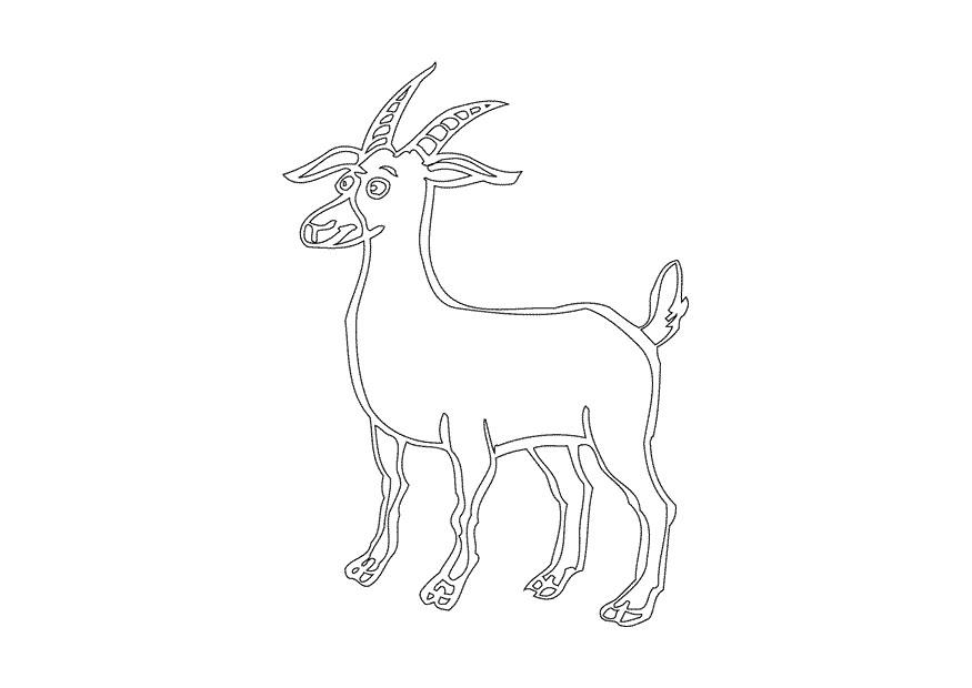 Disegno da colorare cervo
