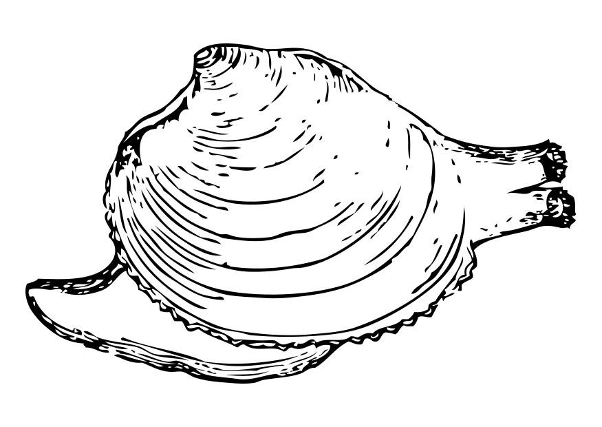 Disegno da colorare chiocciola