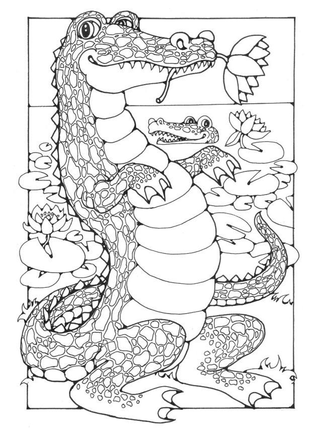 Disegno da colorare coccodrilli