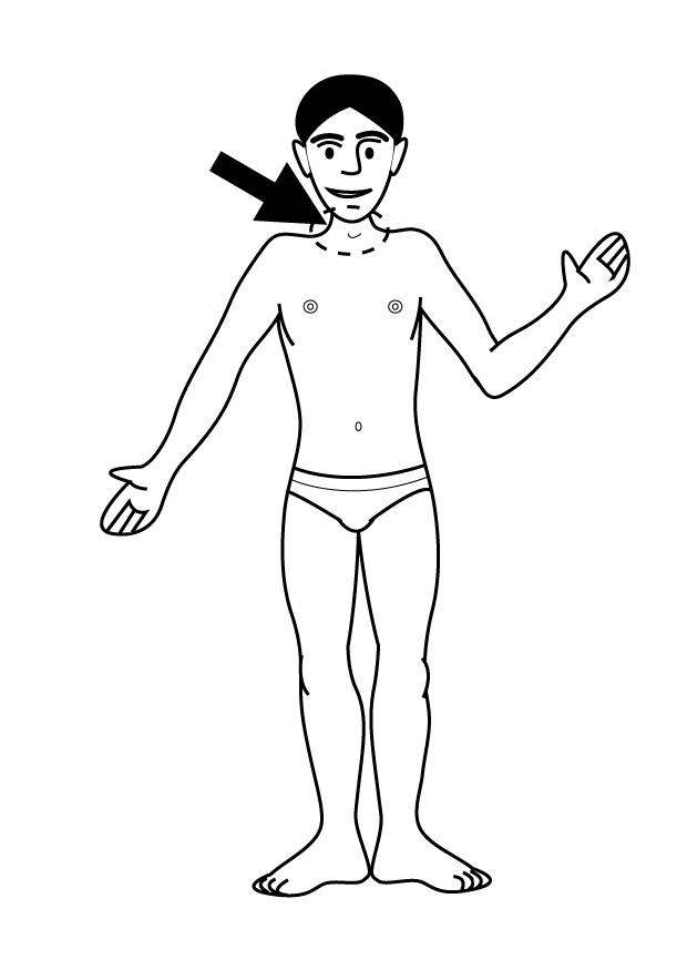 Disegno da colorare collo