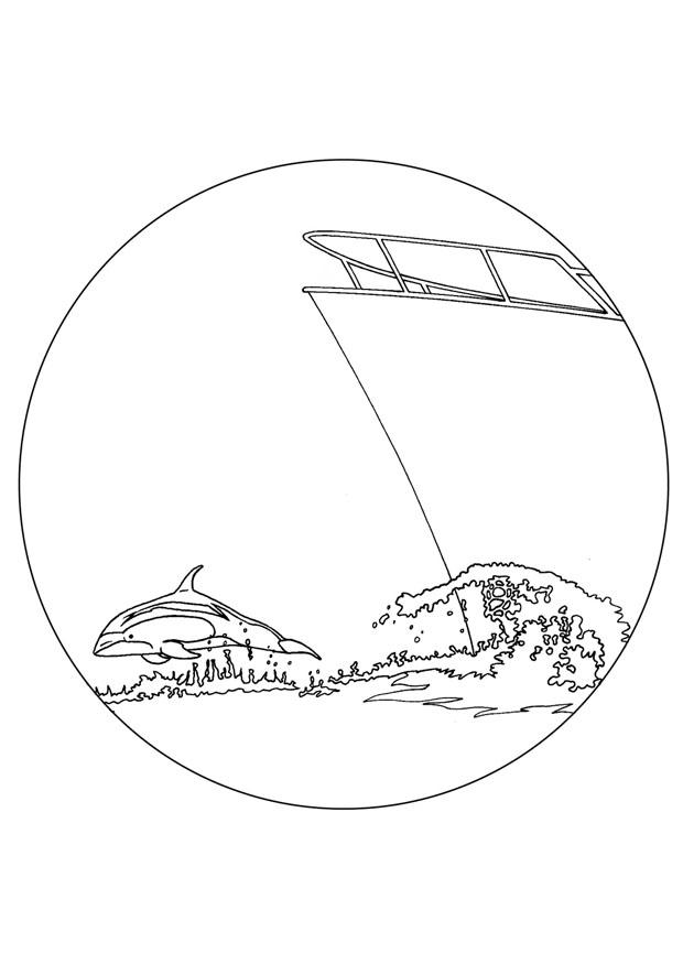 Disegno da colorare delfino precede nave