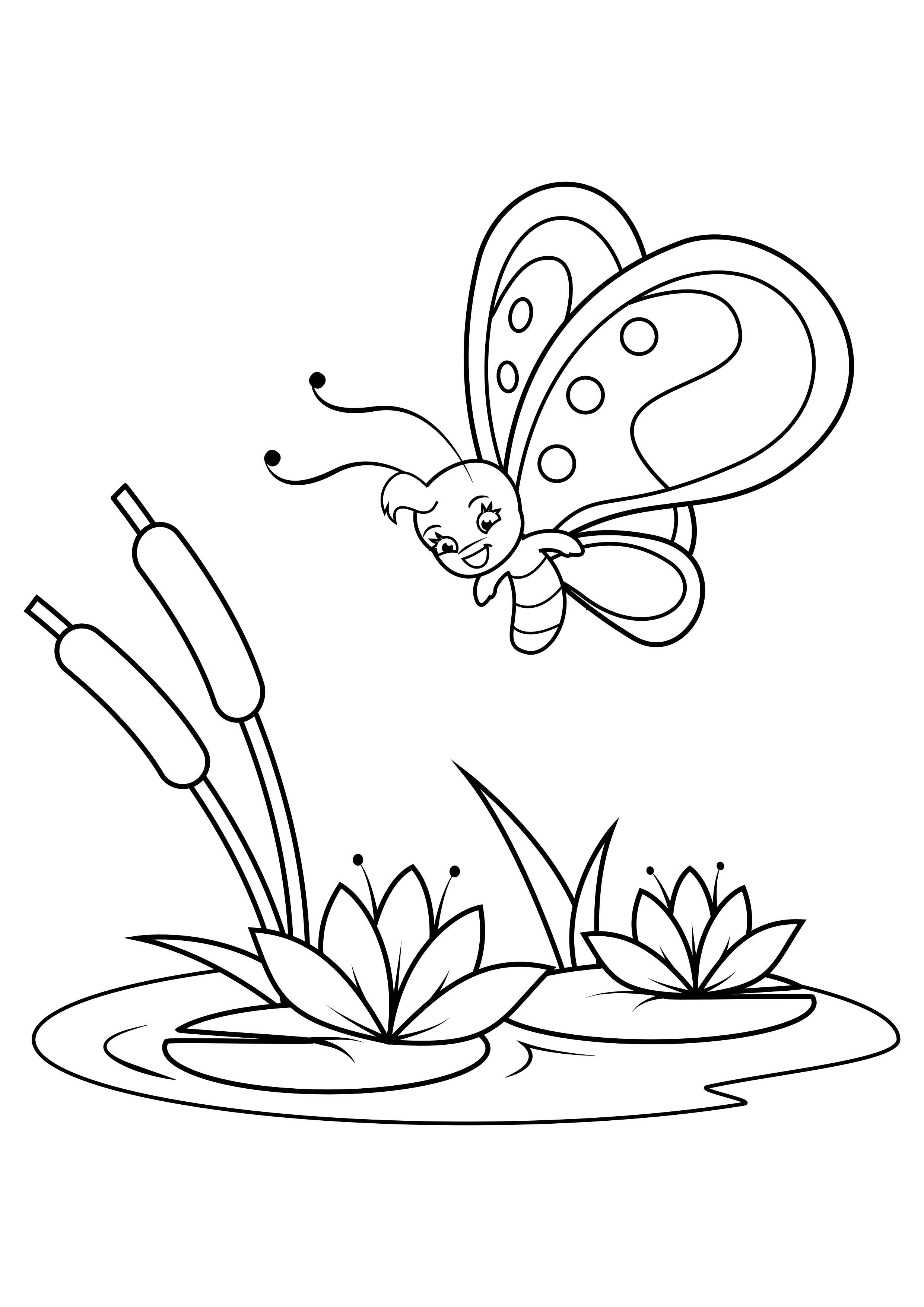 Disegno da colorare farfalla sopra le ninfee